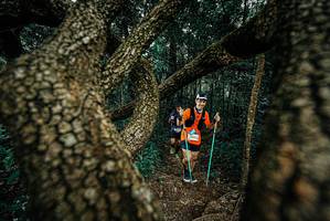 BIB: 
                            <button type="button" onclick="openModal(25696656)" class="btn btn-primary btn-sm float-right btn-popup" data-toggle="modal" data-target=".modal-high-quality">
                        <i class="fas fa-shopping-cart"></i> Add to Cart
                    </button>
                                            <button type="button" onclick="isThisMe(25696656, true)" class="btn btn-success btn-sm float-right btn-popup btn-isme hidden" data-toggle="tooltip" data-placement="bottom" title="นี่คือรูปของคุณใช่ไหม คลิกที่นี่เพื่อเอาเข้าอัลบั้ม">
                        <i class="fas fa-plus"></i> Add to album
                    </button>
                    <button type="button" onclick="isThisMe(25696656, false)" class="btn btn-warning btn-sm float-right btn-popup btn-isnotme hidden">
                        <i class="fas fa-ban"></i> Remove from album
                    </button>